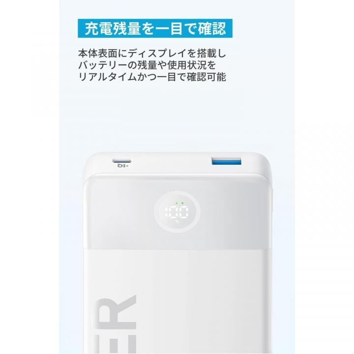 Anker Power Bank (20000mAh, 15W, 2 Port)