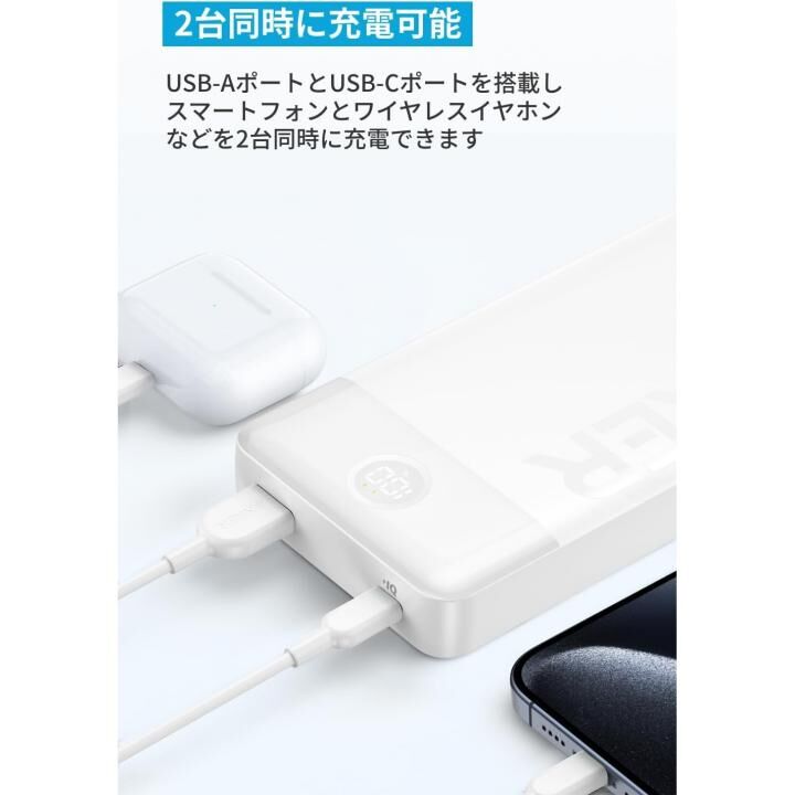 Anker Power Bank (20000mAh, 15W, 2 Port)