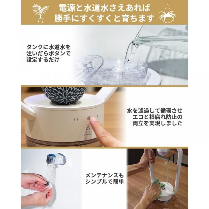 多肉植物を飾るテーブルランプ TANIQUE 角型