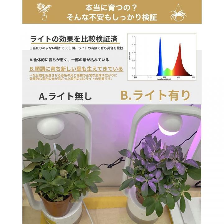 多肉植物を飾るテーブルランプ TANIQUE 角型