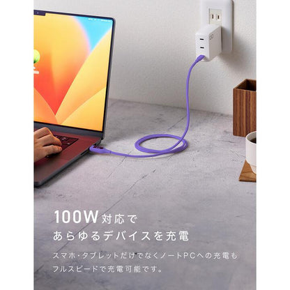 CIO マグネットシリコンケーブル 液晶表示付き ストレートタイプ USB Type-C 1m